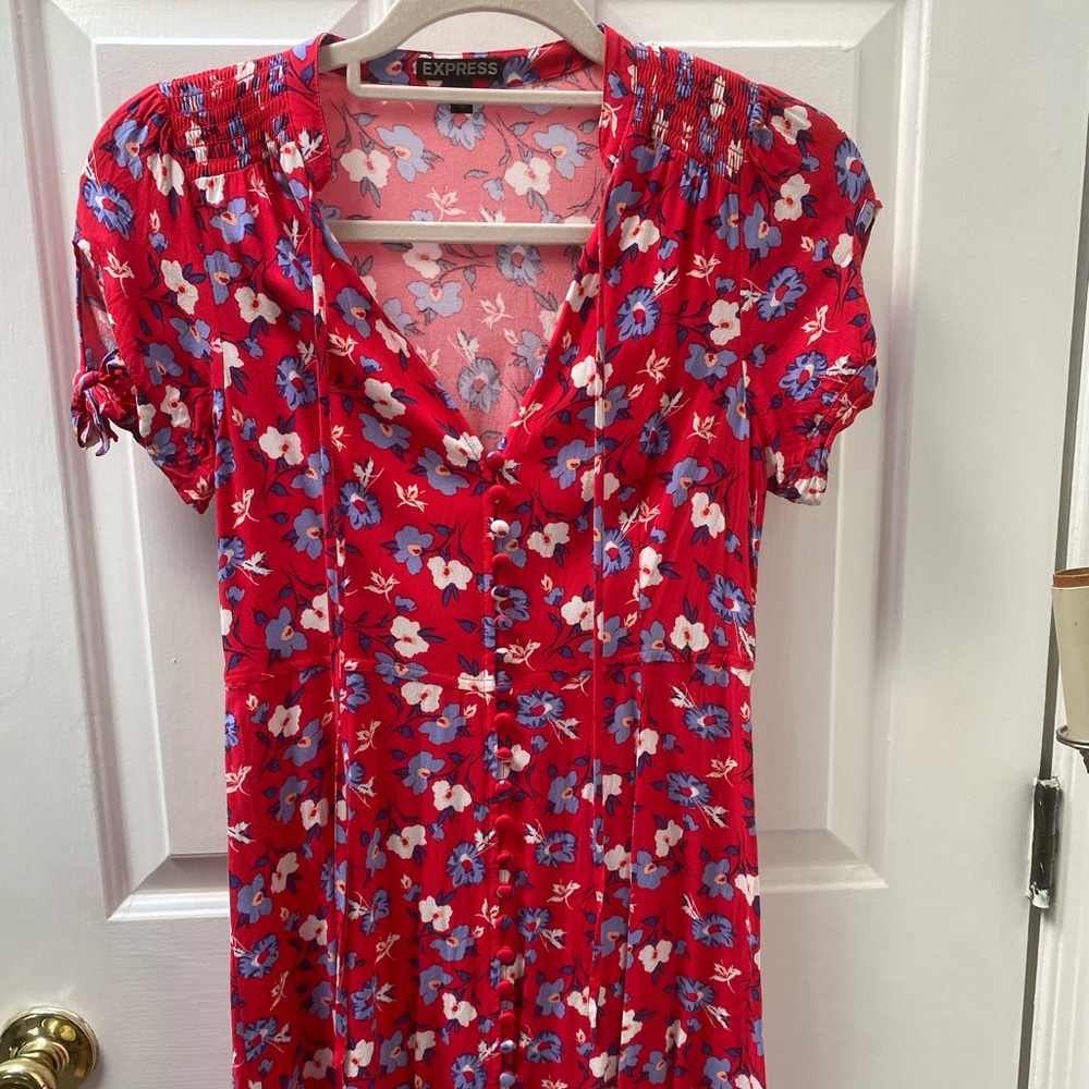 Express Red Floral Sundress